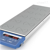 RT 10磁力搅拌器
