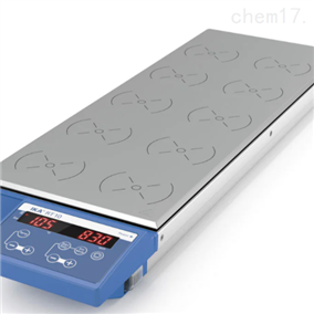 RT 10磁力搅拌器