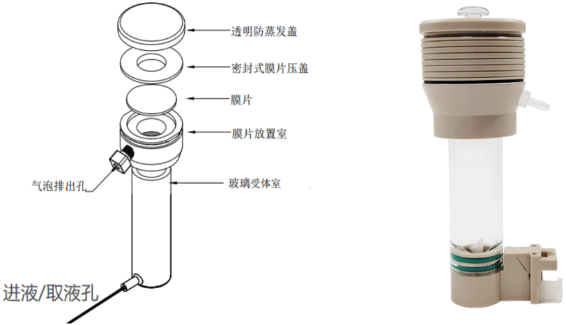 图示描述已自动生成